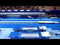 SWADLING Ty (AUS) M - 2019 Trampoline Worlds, Tokyo (JPN) - Qualification Trampoline R1