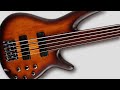 Ibanez SR705F Portamento Fretless - What Does it Sound Like?