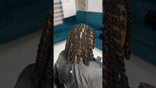 Starter locs with natural loc extensions🔥Beautiful style🥵😍Extensions and install @locpalace_1.