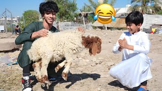 مودي اشتره خروف جديد 😂 #تحشيش ￼