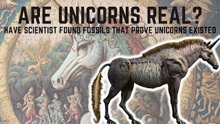 Are Unicorns Real? - Have Scientist Found Fossils That Prove Unicorns Existed 🦄