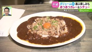 ボリューム満点！選ぶ楽しみも！冬こそオススメ！カレー＆シチュー【どさんこワイド179】2024.11.19放送