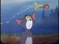 Tom and Jerry - The Cat and the Mermouse