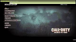 HELP! Cod Waw Pc ERROR!