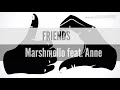 Friends Marshmello feat. Anne Marrie Lirik