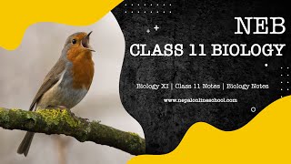 001 Biodiversity introduction part 1NEB Class 11 Biology Botany  Zoology in nepali, Biology in nepal