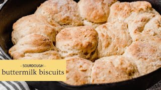 Buttery Sourdough Biscuits Made with Sourdough Discard