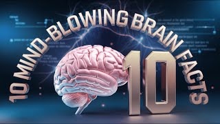 10 Amazing Facts You Didn T Know About The Human Brain Worldwise ...