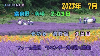 2023年7月　富良野・美瑛２泊３日　その６　最終話 ファーム富田　満開のラベンダーが刈り取り開始