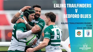 LIVE | Ealing Trailfinders v Bedford Blues | Championship | Round 22