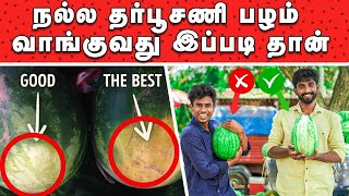 watermelon: தர்பூசணி பயன்கள் | watermelon benefits | தர்பூசணி பழம் வாங்குவது எப்படி | ஆண் தர்பூசணி