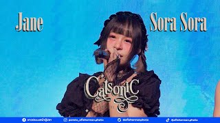 [20241123][Full Stage][Jane Focus] Sora Sora @ Catsonic Vol. III