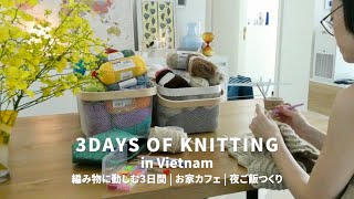 [Vlog] in Ho Chi Minh_ 3 days dedicated to knitting 🧶🪡