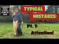 Typical Mistakes in Dog Training Pt. 1: No Attention!