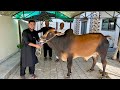 Eid Mubarak 🥰 | Eid Ul Adha 2026