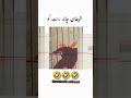 Shaitaan on Chand Rat Raat🤣 funny videos