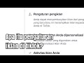 Apa itu pengaturan iklan di tiktok?