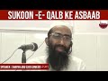 Sukoon - e - Qalb Ke Asbaab | Shaykh Abu Zaid Zameer حفظہ اللہ