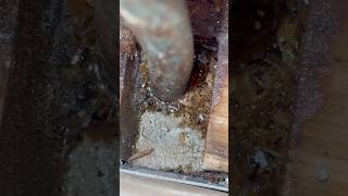 Waterline Leaking Inside Concrete Foundation