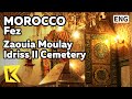 【K】Morocco Travel-Fez[모로코 여행-페스]물레이 이드리스 2세 영묘/Zaouia Moulay Idriss II Cemetery/Medina