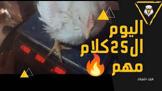 العوده من بعد الغياب اليوم ال25 بفضل الله كلام مهم 💪