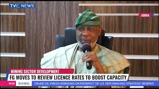 FG Moves To Review Mining Sector Licence Rates To Boost Capacity