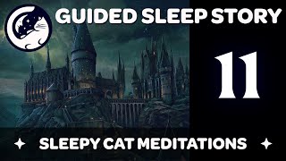 Hagrid’s Picnic & Astronomy - Harry Potter Inspired Sleep Story ('Yer a Wizard') Ep 11/16
