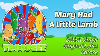 Mary Had A Little Lamb | Nursery Rhymes Songs | British Childrens Songs