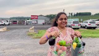Weekend ala కురగాయల pollam ki vellinam || A beautiful day in vegetable farm || Telugu Vlogs from USA