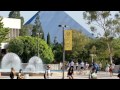 California State University Long Beach - 5 Things I Wish I Had Known Before Attending