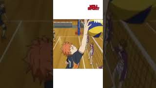 Khi bóng chuyền trong anime áp dụng trong đời thực| MoliSport #shorts