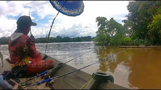 TERBARU‼️MANCING UDANG GALAH DI SUNGAI SEJANGKUNG✅SPOT ANDALAN KALIMANTAN BARAT#hobimancing