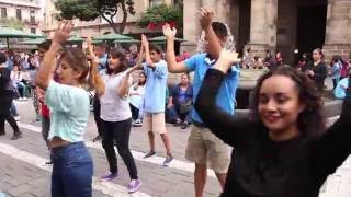 IYF FLASHMOB GUADALAJARA 2016