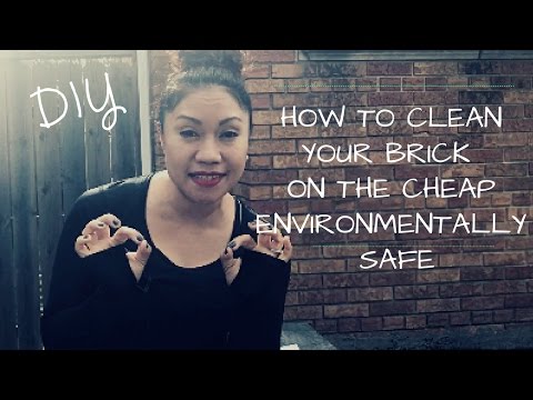 DIY: How to clean your Brick-Concrete on the Cheap - Environmentally Safe DIY: How to clean your Brick-Concrete on the Cheap - Environmentally Safe