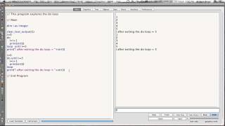 Do Loops and While Wend Loops