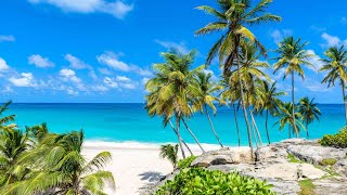 Discover a Caribbean Paradise with Tailor-made Barbados Holidays | Inspiring Tra
