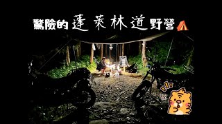 蓬萊林道野營⛺️＆驚險的攻頂失敗...殘念＆KTM390ADV&YAMAHA TW225&勁戰