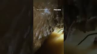 WATCH: Rescuers break down in tears after saving people trapped inside flooded cave #fox #media #