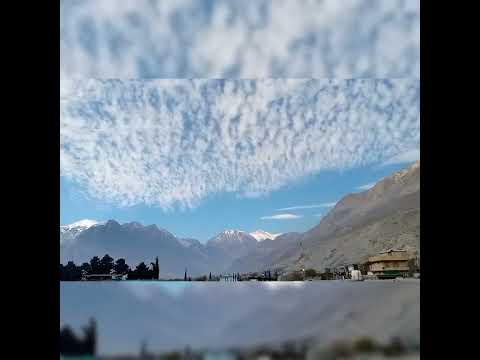 Which is a low altitude cloud?