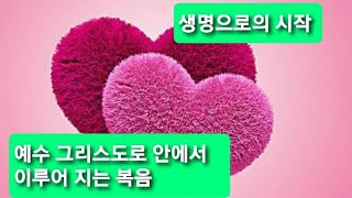 생명을 전하고 있습니다.