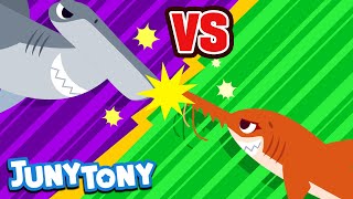 Saw Shark vs. Hammerhead Shark | VS Series for Kids | Shark Song | Kindergarten Song | JunyTony