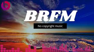 Roa - Puzzle (BRFM Vlog No Copyright Music)
