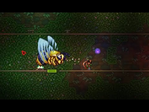 Terraria Queen Bee (master Mode) - YouTube