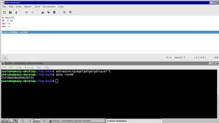dash shell scripting tutorial 2 - using variables