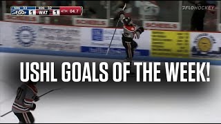 USHL Goals Of The Week: Garrett Schifsky Scores OT Winner;  Bauer Berry Get First Career USHL Goal