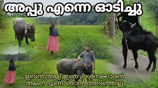 തൂക്കണാം കുരുവിയെ കണ്ടിട്ട് അപ്പുവിനെ കാണാനുള്ള പോക്ക്