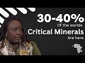 Inside the Critical Minerals Driving the GLOBAL Economy