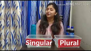 Singular and plural nouns, how to teach Part I