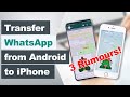 Transfer WhatsApp from Android to iPhone