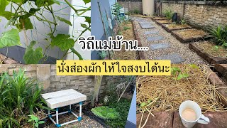 วิถีแม่บ้านเช้าๆ อะไรทำให้ใจสงบสุข #แม่บ้านรีวิว #สวนผักข้างบ้าน